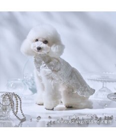 PET PARADISE cherircouture くしゅくしゅ ワンピース 小型犬