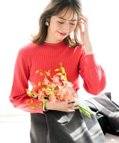 ANY SIS S 【WEB・一部店舗限定】ダブルカラー ニット