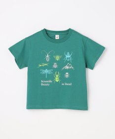 ANY KIDS 【洗濯機可能】昆虫プリント 半袖Tシャツ