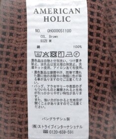 AMERICAN HOLIC メッシュボックスTシャツ