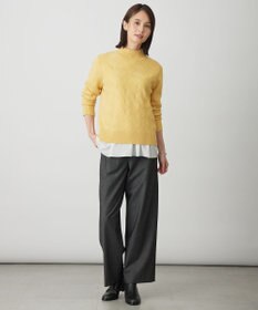 J.PRESS LADIES L 【WEB限定カラーあり】CAT ハイネック ニット