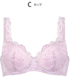 Wing Wing Lesiage 【3000シリーズ】 PB3000 ウイング／ワコール