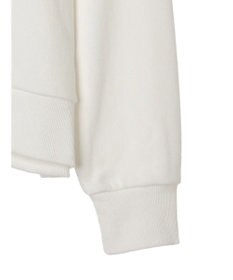 Green Parks ＴＯＹ　ＳＴＯＲＹ／フロッキー裏毛プルオーバー