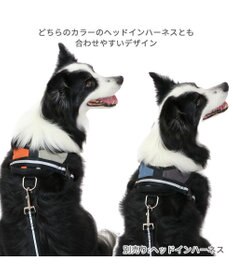 PET PARADISE 両面反射リード ブラック120㎝【Ｍ～Ｌ】