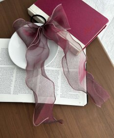 WEGO スケリボンゴム