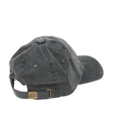 Green Parks ■ＦＲＵＩＴ　ＯＦ　ＴＨＥ　ＬＯＯＭ　Ｐｉｇｍｅｎｔ　ＣＡＰ