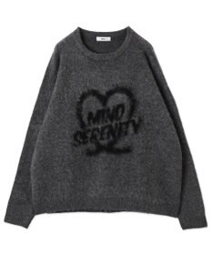 WEGO 【ユニセックス着用ITEM/MLサイズ展開】シャギーグラフィックプルオーバー