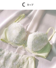 Wing Wing Lesiage　【2800シリーズ】　ブラジャー　サイドすっきり　安定感のあるしっかりとしたフィット感　ウイング／ワコール　PB2800