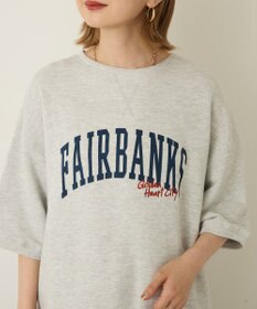 AMERICAN HOLIC アソートロゴルーズドルマンプルオーバー