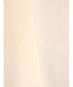 CRAFT STANDARD BOUTIQUE ＵＲＡＮＩＷＡ　ＣＡＭＰＥＲＳ　帆布ショートエプロン