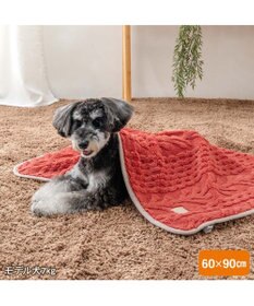 PET PARADISE ペットパラダイス アランボア ブランケット