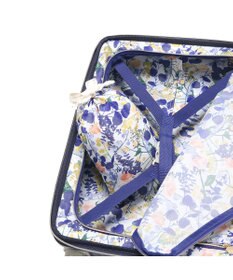 ACE BAGS & LUGGAGE 【雑誌掲載】 HaNT×Jewelna Rose コラボ スーツケース 機内持ち込み 06821 ハント ジュエルナローズ