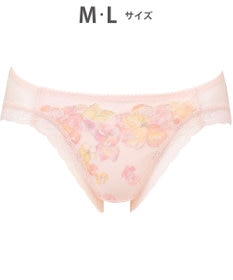 WACOAL ショーツ 【ハグするブラ】BRB488とペア はきこみ丈あさめ バックはナイロンベア天竺素材 レディース PRA188 /ワコール