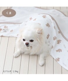 PET PARADISE ペットパラダイス クールケット 《くま柄》 小型犬