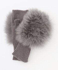 BEIGE， ALPO / フォックスファーグローブ