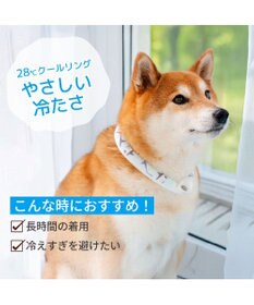 PET PARADISE ペットパラダイス ２８℃ クールリング Ｌ 《サメ柄》
