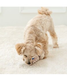 PET PARADISE ディズニー バンビ ミスバニー ダンベル トイ