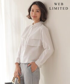 J.PRESS LADIES 【WEB限定カラーあり】COTTON TEX シャツ ブラウス 【WEB限定】ベージュストライプ系