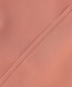 ANY 【洗濯機可】バックプリーツブラウス