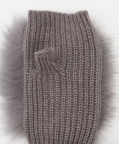 BEIGE， ALPO / フォックスファーグローブ