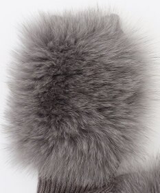 BEIGE， ALPO / フォックスファーグローブ