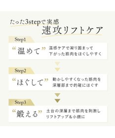 YAMATO テーブル＆キッチン 【STELLA BEAUTE】Beauty Face Stick / プラチナ / SB-BFS01-01