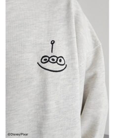 Green Parks ＴＯＹ　ＳＴＯＲＹ／バックプリント裏毛プルオーバー