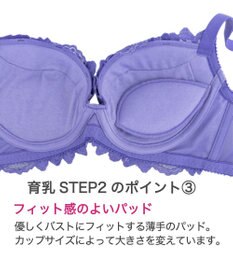 BRADELIS New York 【BRADELIS New York】ベルステップ２ブラ23S1 高さを出してシャープなバストをつくる育乳補整ブラ