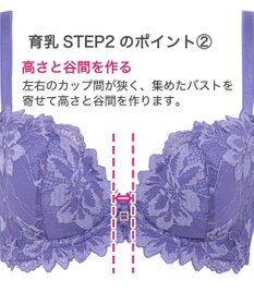 BRADELIS New York 【BRADELIS New York】ベルステップ２ブラ23S1 高さを出してシャープなバストをつくる育乳補整ブラ