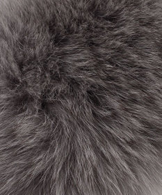 BEIGE， ALPO / フォックスファーグローブ