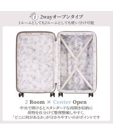 ACE BAGS & LUGGAGE Jewelna Rose エルダートローリー Lサイズ 87L 05403 ジュエルナローズ