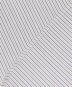 J.PRESS LADIES L 【洗える】BEZ ドビーストライプ シャツカラー ブラウス