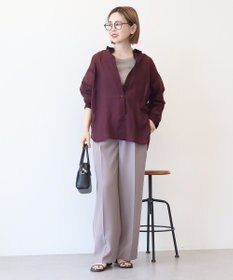 AMERICAN HOLIC ラスターシアーシャツ