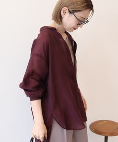 AMERICAN HOLIC ラスターシアーシャツ