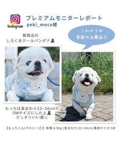 PET PARADISE クールネック バンダナ《 ボタニカル/ しろくま/シフォン襟》 保冷剤付き 【中型犬】【大型犬】