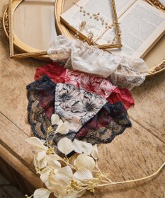 San-ai Resort（三愛水着楽園） エレガントコレクション【2409】バックレースショーツ 【northerly】