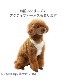 PET PARADISE ペットパラダイス ショルダーリード 花柄 ３Ｓ～Ｓ 小型犬