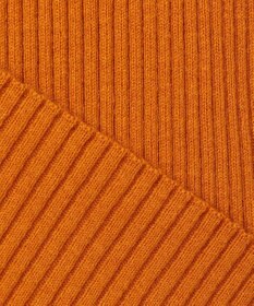 J.PRESS YORK STREET 【WOMEN】ANTI PILLING WOOL リブタートルニット