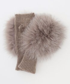 BEIGE， ALPO / フォックスファーグローブ