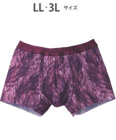 WACOAL MEN ボクサーパンツ　上質なフィット感　裾部分はフリーなカッティング　フロント快適設計　前閉じ　/ブロス　GT3301