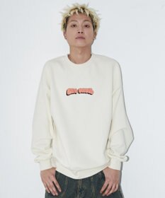 WEGO 【ユニセックス着用ITEM/MLサイズ展開/裏起毛】別注BENDAVISプランプロゴプルオーバー