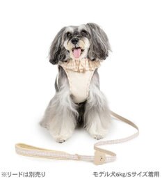 PET PARADISE ペットパラダイス くまちゃん ピエロ襟ベストハーネス ４Ｓ / ３Ｓ