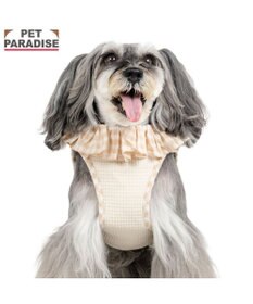 PET PARADISE ペットパラダイス くまちゃん ピエロ襟ベストハーネス ４Ｓ / ３Ｓ