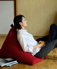 ビーズクッション tetra 高耐久性でペットも安心 tetra LEON（レオン）ビーズクッション