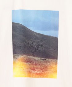 SHARE PARK LADIES 【UVカット・吸水速乾・ストレッチ・軽量 】フォトプリントTシャツ（S・Mサイズ）