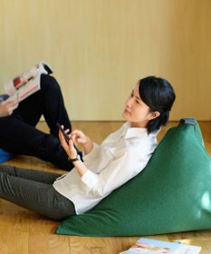 ビーズクッション tetra 高耐久性でペットも安心 tetra LEON（レオン）ビーズクッション