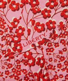 LIBERTY. ミッツィ ミングル 8x160 スキニー シルク スカーフ