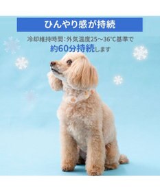 PET PARADISE ペットパラダイス １８℃ クールリング ３Ｓ 《アイス柄》