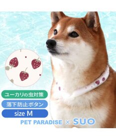 PET PARADISE ペットパラダイス 28℃クールリング 《いちご》 Ｍ 大型犬