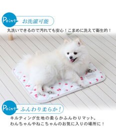 PET PARADISE 犬 クール マット 冷感 柔らか クールマット (48×40cm) 苺 くまちゃん ネイティブ 接触冷感 ひんやり ペット